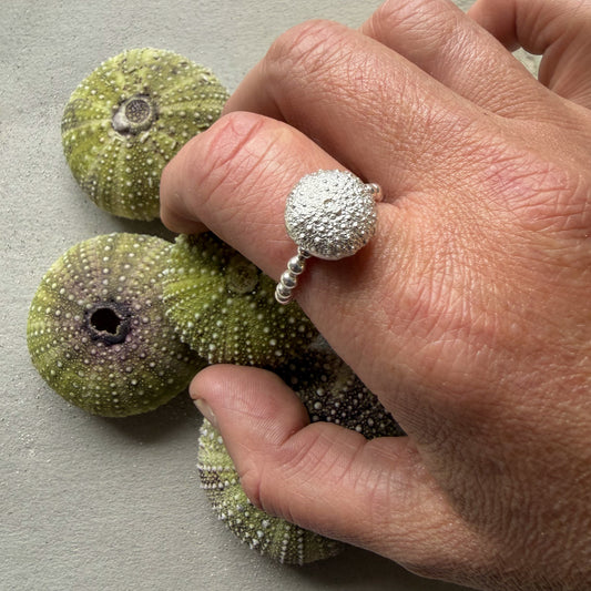 Små Kråkebolle Ring i sølv | Lofoten Jewelry