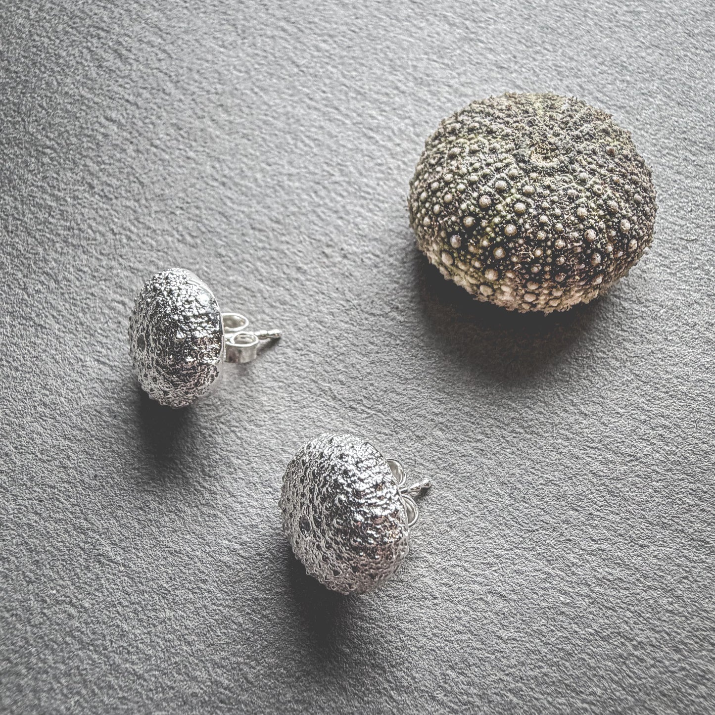 Små kråkebolle øredobber i sølv | Lofoten Jewelry