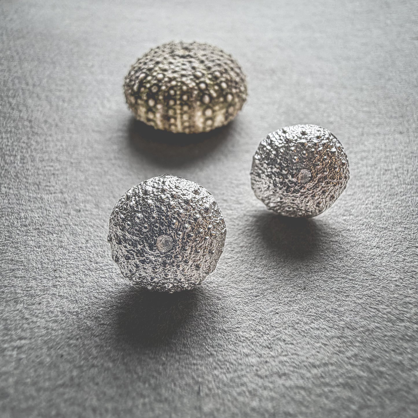 Små kråkebolle øredobber i sølv | Lofoten Jewelry