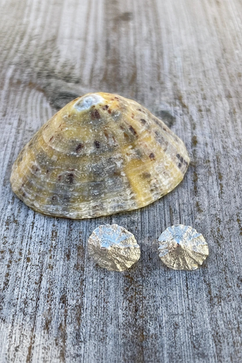 Lofoten Jewelry Silver Earrings "Elbow Shells"